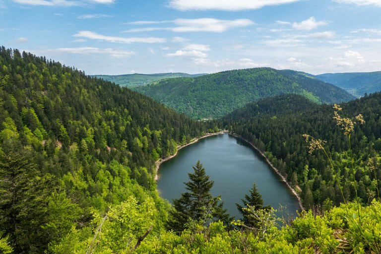 Lac des Vosges Blanchemer Gérardmer Lac des Corbeaux Retournemer La Bresse Lac d'Alfed Longemer Lac des Perches Lac Blanc La Bresse Le Thillot Cornimont Saint Maurice sur Moselle Fresse sur Moselle Bussang Rochesson Vagney quoi faire Location de vacances Vosges Hébergement dans les Vosges Gîtes Vosges Chalets à louer dans les Vosges Maisons de vacances Vosges Séjour touristique Vosges Locations saisonnières Vosges Appartements de vacances Vosges Escapade nature Vosges Séjour montagne Vosges Randonnée dans les Vosges Ski dans les Vosges Activités de plein air Vosges Détente et bien-être Vosges Vacances en famille Vosges Week-end romantique Vosges Offres spéciales vacances Vosges Tarifs abordables Vosges Réservation en ligne Vosges Conseils voyage Vosges