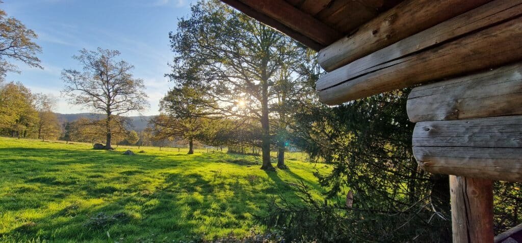 Location chalet Vosges Chalet spa Vosges Location chalet avec sauna Vosges Chalet privé avec spa Vosges Location fuste Vosges avec spa Chalet romantique Vosges avec spa Chalet avec sauna privé Vosges Chalet nature avec spa Vosges Séjour bien-être Vosges Location chalet Vosges avec spa et sauna Escapade détente Vosges Chalet romantique Vosges Chalet couple Vosges Séjour romantique Vosges Escapade couple Vosges Location chalet familial Vosges Chalet Vosges 5 personnes Chalet Vosges famille avec spa Chalet cosy Vosges pour couples Chalet romantique avec spa Vosges Chalet détente Vosges pour couples Chalet bien-être Vosges Weekend spa Vosges Escapade bien-être Vosges Chalet détente montagne Vosges Séjour détente nature Vosges Location bien-être Vosges Séjour spa privé Vosges Weekend spa et sauna Vosges Escapade spa Vosges Séjour détente avec spa Vosges Chalet en forêt Vosges Séjour nature Vosges Location chalet montagne Vosges Randonnée et chalet Vosges Chalet proche nature Vosges Escapade nature Vosges Hébergement nature Vosges Location montagne nature Vosges Vacances pleine nature Vosges Chalet vue montagne Vosges Chalet Noël Vosges Weekend Saint-Valentin Vosges Chalet pour Pâques Vosges Escapade romantique hiver Vosges Chalet avec spa hiver Vosges Chalet en hiver Vosges Séjour Saint-Valentin Vosges Chalet romantique pour Noël Vosges Location chalet été Vosges Séjour printemps Vosges Chalet près de Gérardmer Location vacances Tendon Vosges Chalet nature proche Gérardmer Hébergement romantique proche Gérardmer Chalet famille proche des lacs Vosges Chalet Vosges proche randonnée Chalet au calme Vosges Chalet nature proche Tendon Escapade romantique Tendon Chalet vue lac Gérardmer Chalet de charme Vosges Location de luxe Vosges Chalet haut de gamme Vosges Fuste de luxe Vosges Séjour romantique haut de gamme Vosges Location Vosges luxe avec spa Chalet Vosges luxe pour couple Hébergement charme Vosges Chalet chic Vosges Escapade de luxe Vosges Séjour insolite Vosges Hébergement immersif Vosges Chalet expérience Vosges Evasion nature Vosges Week-end aventure Vosges Fuste en forêt Vosges Chalet atypique Vosges Hébergement éco-responsable Vosges Evasion en pleine nature Vosges Séjour chalet rustique Vosges Chalet familial Vosges avec sauna Chalet convivial Vosges Hébergement pour groupe Vosges Location chalet avec barbecue Vosges Séjour familial Vosges avec spa Chalet avec jeux extérieurs Vosges Chalet détente famille Vosges Escapade en famille Vosges Chalet nature famille Vosges Chalet authentique Vosges Location Vosges spa isolé Chalet en bois avec spa Vosges Location luxe spa Vosges Chalet Vosges romantique avec vue Chalet jacuzzi Vosges Location chalet avec jacuzzi Vosges Chalet privé avec jacuzzi Vosges Location fuste Vosges avec jacuzzi Chalet romantique Vosges avec jacuzzi Chalet avec jacuzzi privé Vosges Chalet nature avec jacuzzi Vosges Séjour bien-être Vosges avec jacuzzi Location chalet Vosges avec jacuzzi et sauna Escapade détente Vosges avec jacuzzi Chalet insolite Vosges Hébergement insolite Alsace Séjour insolite montagne Vosges Escapade insolite Vosges Nuit insolite en forêt Vosges Location chalet insolite Vosges Week-end insolite Vosges Hébergement insolite nature Vosges Fuste insolite Vosges Expérience insolite Vosges pistes de ski montagnes gîte le chalet location de vacances chaleureux location de chalet raquettes stations de ski gîtes skiable station de ski locations de vacances spacieux vacances à la montagne plein air domaine skiable remontées chauffée campings vallées ski de fond pied des pistes vacances en famille hameau inoubliables grand chalet vtt nordique sports d hiver lits simples vacanciers la bresse bresse grand confort ski alpin panoramique hautes vosges vacances au ski louer un chalet bord du lac grande terrasse chalet de montagne remontées mécaniques cuisine équipée résidences nombreuses activités lave vaisselle privative confortables luge chalets en bois centre du village séjour au ski salon de jardin chalets à louer séjourner chalet de luxe glisse vue panoramique thermes pouvant accueillir centre de la station balades salle d eau superposés chalet individuel lits superposés mobilité réduite parc naturel idéalement situé coin cuisine vosgien avec terrasse wifi gratuit sapins niche chalet à louer belle vue chambres d hôtes fermes lac de gérardmer toute la famille insolites cocooning draps grands chalets petit chalet terrasse couverte village vacances parapente convertible massif vosgien passer des vacances dernière minute déjeuners pour les vacances randonnées crêtes sommets baignoire vacances dans les vosges aménagé louez navette vosgienne skier granges randonneurs ballons kitchenette massif des vosges vue sur le lac skiables grand domaine télésiège parc naturel régional mobil home vosgiens département des vosges chambre chalet pédestre skis aux pieds rez de chaussée bol d air grands espaces douillet terrasse privée magnifique chalet cottage luxueux sauna cadre naturel bien équipé micro ondes peuvent accueillir saint dié lavabo pédestres rénové grand air chalet dans les vosges espace bien être lorraine vosges cimes plombières les bains vittel canapé convertible epinal lorraine domaines skiables panoramas nouvel an vosges demi pension matériel de ski vacances chalet lave linge duplex chambre avec un lit prochaines vacances cafetière mobil homes raclette entièrement équipés montagnard chalet des alpes neiges emplacements vue sur les montagnes activités sportives écran plat arboré dépaysement chalet situé superbe vue chambres séparées couchage location saisonnière châteaux table d hôtes mètres d altitude route des crêtes coeur du massif