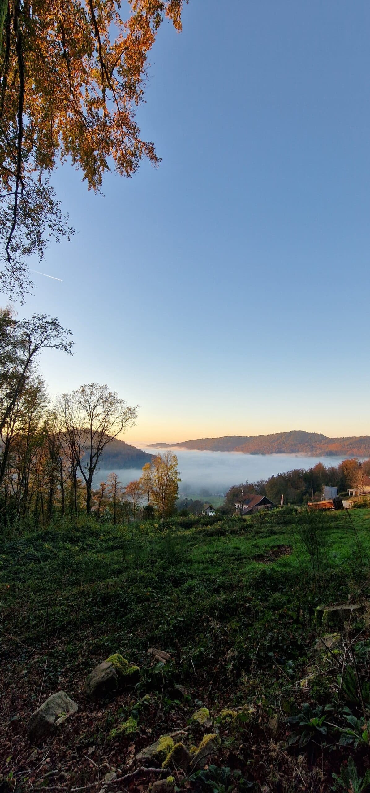 Location chalet Vosges Chalet spa Vosges Location chalet avec sauna Vosges Chalet privé avec spa Vosges Location fuste Vosges avec spa Chalet romantique Vosges avec spa Chalet avec sauna privé Vosges Chalet nature avec spa Vosges Séjour bien-être Vosges Location chalet Vosges avec spa et sauna Escapade détente Vosges Chalet romantique Vosges Chalet couple Vosges Séjour romantique Vosges Escapade couple Vosges Location chalet familial Vosges Chalet Vosges 5 personnes Chalet Vosges famille avec spa Chalet cosy Vosges pour couples Chalet romantique avec spa Vosges Chalet détente Vosges pour couples Chalet bien-être Vosges Weekend spa Vosges Escapade bien-être Vosges Chalet détente montagne Vosges Séjour détente nature Vosges Location bien-être Vosges Séjour spa privé Vosges Weekend spa et sauna Vosges Escapade spa Vosges Séjour détente avec spa Vosges Chalet en forêt Vosges Séjour nature Vosges Location chalet montagne Vosges Randonnée et chalet Vosges Chalet proche nature Vosges Escapade nature Vosges Hébergement nature Vosges Location montagne nature Vosges Vacances pleine nature Vosges Chalet vue montagne Vosges Chalet Noël Vosges Weekend Saint-Valentin Vosges Chalet pour Pâques Vosges Escapade romantique hiver Vosges Chalet avec spa hiver Vosges Chalet en hiver Vosges Séjour Saint-Valentin Vosges Chalet romantique pour Noël Vosges Location chalet été Vosges Séjour printemps Vosges Chalet près de Gérardmer Location vacances Tendon Vosges Chalet nature proche Gérardmer Hébergement romantique proche Gérardmer Chalet famille proche des lacs Vosges Chalet Vosges proche randonnée Chalet au calme Vosges Chalet nature proche Tendon Escapade romantique Tendon Chalet vue lac Gérardmer Chalet de charme Vosges Location de luxe Vosges Chalet haut de gamme Vosges Fuste de luxe Vosges Séjour romantique haut de gamme Vosges Location Vosges luxe avec spa Chalet Vosges luxe pour couple Hébergement charme Vosges Chalet chic Vosges Escapade de luxe Vosges Séjour insolite Vosges Hébergement immersif Vosges Chalet expérience Vosges Evasion nature Vosges Week-end aventure Vosges Fuste en forêt Vosges Chalet atypique Vosges Hébergement éco-responsable Vosges Evasion en pleine nature Vosges Séjour chalet rustique Vosges Chalet familial Vosges avec sauna Chalet convivial Vosges Hébergement pour groupe Vosges Location chalet avec barbecue Vosges Séjour familial Vosges avec spa Chalet avec jeux extérieurs Vosges Chalet détente famille Vosges Escapade en famille Vosges Chalet nature famille Vosges Chalet authentique Vosges Location Vosges spa isolé Chalet en bois avec spa Vosges Location luxe spa Vosges Chalet Vosges romantique avec vue Chalet jacuzzi Vosges Location chalet avec jacuzzi Vosges Chalet privé avec jacuzzi Vosges Location fuste Vosges avec jacuzzi Chalet romantique Vosges avec jacuzzi Chalet avec jacuzzi privé Vosges Chalet nature avec jacuzzi Vosges Séjour bien-être Vosges avec jacuzzi Location chalet Vosges avec jacuzzi et sauna Escapade détente Vosges avec jacuzzi Chalet insolite Vosges Hébergement insolite Alsace Séjour insolite montagne Vosges Escapade insolite Vosges Nuit insolite en forêt Vosges Location chalet insolite Vosges Week-end insolite Vosges Hébergement insolite nature Vosges Fuste insolite Vosges Expérience insolite Vosges pistes de ski montagnes gîte le chalet location de vacances chaleureux location de chalet raquettes stations de ski gîtes skiable station de ski locations de vacances spacieux vacances à la montagne plein air domaine skiable remontées chauffée campings vallées ski de fond pied des pistes vacances en famille hameau inoubliables grand chalet vtt nordique sports d hiver lits simples vacanciers la bresse bresse grand confort ski alpin panoramique hautes vosges vacances au ski louer un chalet bord du lac grande terrasse chalet de montagne remontées mécaniques cuisine équipée résidences nombreuses activités lave vaisselle privative confortables luge chalets en bois centre du village séjour au ski salon de jardin chalets à louer séjourner chalet de luxe glisse vue panoramique thermes pouvant accueillir centre de la station balades salle d eau superposés chalet individuel lits superposés mobilité réduite parc naturel idéalement situé coin cuisine vosgien avec terrasse wifi gratuit sapins niche chalet à louer belle vue chambres d hôtes fermes lac de gérardmer toute la famille insolites cocooning draps grands chalets petit chalet terrasse couverte village vacances parapente convertible massif vosgien passer des vacances dernière minute déjeuners pour les vacances randonnées crêtes sommets baignoire vacances dans les vosges aménagé louez navette vosgienne skier granges randonneurs ballons kitchenette massif des vosges vue sur le lac skiables grand domaine télésiège parc naturel régional mobil home vosgiens département des vosges chambre chalet pédestre skis aux pieds rez de chaussée bol d air grands espaces douillet terrasse privée magnifique chalet cottage luxueux sauna cadre naturel bien équipé micro ondes peuvent accueillir saint dié lavabo pédestres rénové grand air chalet dans les vosges espace bien être lorraine vosges cimes plombières les bains vittel canapé convertible epinal lorraine domaines skiables panoramas nouvel an vosges demi pension matériel de ski vacances chalet lave linge duplex chambre avec un lit prochaines vacances cafetière mobil homes raclette entièrement équipés montagnard chalet des alpes neiges emplacements vue sur les montagnes activités sportives écran plat arboré dépaysement chalet situé superbe vue chambres séparées couchage location saisonnière châteaux table d hôtes mètres d altitude route des crêtes coeur du massif