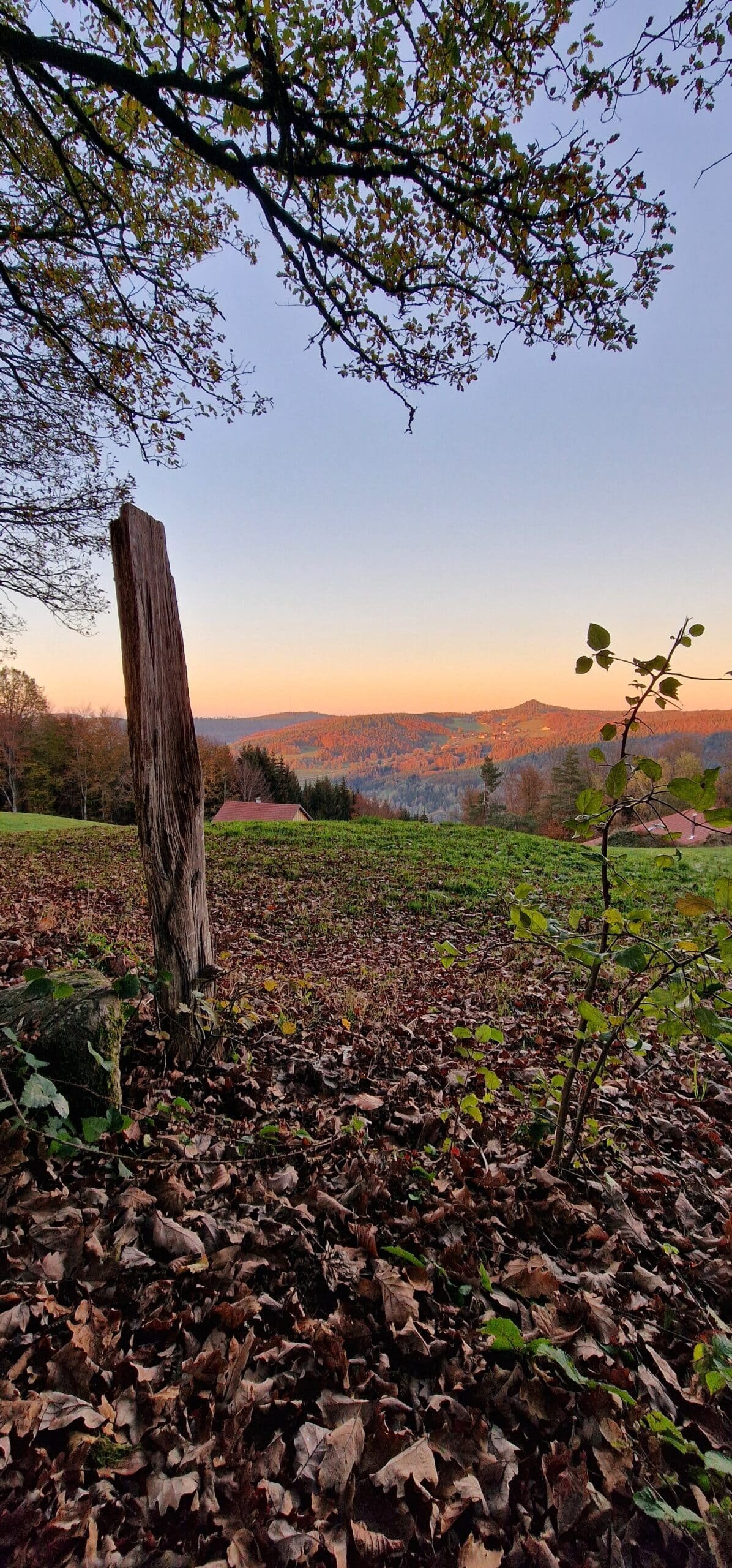 Location chalet Vosges Chalet spa Vosges Location chalet avec sauna Vosges Chalet privé avec spa Vosges Location fuste Vosges avec spa Chalet romantique Vosges avec spa Chalet avec sauna privé Vosges Chalet nature avec spa Vosges Séjour bien-être Vosges Location chalet Vosges avec spa et sauna Escapade détente Vosges Chalet romantique Vosges Chalet couple Vosges Séjour romantique Vosges Escapade couple Vosges Location chalet familial Vosges Chalet Vosges 5 personnes Chalet Vosges famille avec spa Chalet cosy Vosges pour couples Chalet romantique avec spa Vosges Chalet détente Vosges pour couples Chalet bien-être Vosges Weekend spa Vosges Escapade bien-être Vosges Chalet détente montagne Vosges Séjour détente nature Vosges Location bien-être Vosges Séjour spa privé Vosges Weekend spa et sauna Vosges Escapade spa Vosges Séjour détente avec spa Vosges Chalet en forêt Vosges Séjour nature Vosges Location chalet montagne Vosges Randonnée et chalet Vosges Chalet proche nature Vosges Escapade nature Vosges Hébergement nature Vosges Location montagne nature Vosges Vacances pleine nature Vosges Chalet vue montagne Vosges Chalet Noël Vosges Weekend Saint-Valentin Vosges Chalet pour Pâques Vosges Escapade romantique hiver Vosges Chalet avec spa hiver Vosges Chalet en hiver Vosges Séjour Saint-Valentin Vosges Chalet romantique pour Noël Vosges Location chalet été Vosges Séjour printemps Vosges Chalet près de Gérardmer Location vacances Tendon Vosges Chalet nature proche Gérardmer Hébergement romantique proche Gérardmer Chalet famille proche des lacs Vosges Chalet Vosges proche randonnée Chalet au calme Vosges Chalet nature proche Tendon Escapade romantique Tendon Chalet vue lac Gérardmer Chalet de charme Vosges Location de luxe Vosges Chalet haut de gamme Vosges Fuste de luxe Vosges Séjour romantique haut de gamme Vosges Location Vosges luxe avec spa Chalet Vosges luxe pour couple Hébergement charme Vosges Chalet chic Vosges Escapade de luxe Vosges Séjour insolite Vosges Hébergement immersif Vosges Chalet expérience Vosges Evasion nature Vosges Week-end aventure Vosges Fuste en forêt Vosges Chalet atypique Vosges Hébergement éco-responsable Vosges Evasion en pleine nature Vosges Séjour chalet rustique Vosges Chalet familial Vosges avec sauna Chalet convivial Vosges Hébergement pour groupe Vosges Location chalet avec barbecue Vosges Séjour familial Vosges avec spa Chalet avec jeux extérieurs Vosges Chalet détente famille Vosges Escapade en famille Vosges Chalet nature famille Vosges Chalet authentique Vosges Location Vosges spa isolé Chalet en bois avec spa Vosges Location luxe spa Vosges Chalet Vosges romantique avec vue Chalet jacuzzi Vosges Location chalet avec jacuzzi Vosges Chalet privé avec jacuzzi Vosges Location fuste Vosges avec jacuzzi Chalet romantique Vosges avec jacuzzi Chalet avec jacuzzi privé Vosges Chalet nature avec jacuzzi Vosges Séjour bien-être Vosges avec jacuzzi Location chalet Vosges avec jacuzzi et sauna Escapade détente Vosges avec jacuzzi Chalet insolite Vosges Hébergement insolite Alsace Séjour insolite montagne Vosges Escapade insolite Vosges Nuit insolite en forêt Vosges Location chalet insolite Vosges Week-end insolite Vosges Hébergement insolite nature Vosges Fuste insolite Vosges Expérience insolite Vosges pistes de ski montagnes gîte le chalet location de vacances chaleureux location de chalet raquettes stations de ski gîtes skiable station de ski locations de vacances spacieux vacances à la montagne plein air domaine skiable remontées chauffée campings vallées ski de fond pied des pistes vacances en famille hameau inoubliables grand chalet vtt nordique sports d hiver lits simples vacanciers la bresse bresse grand confort ski alpin panoramique hautes vosges vacances au ski louer un chalet bord du lac grande terrasse chalet de montagne remontées mécaniques cuisine équipée résidences nombreuses activités lave vaisselle privative confortables luge chalets en bois centre du village séjour au ski salon de jardin chalets à louer séjourner chalet de luxe glisse vue panoramique thermes pouvant accueillir centre de la station balades salle d eau superposés chalet individuel lits superposés mobilité réduite parc naturel idéalement situé coin cuisine vosgien avec terrasse wifi gratuit sapins niche chalet à louer belle vue chambres d hôtes fermes lac de gérardmer toute la famille insolites cocooning draps grands chalets petit chalet terrasse couverte village vacances parapente convertible massif vosgien passer des vacances dernière minute déjeuners pour les vacances randonnées crêtes sommets baignoire vacances dans les vosges aménagé louez navette vosgienne skier granges randonneurs ballons kitchenette massif des vosges vue sur le lac skiables grand domaine télésiège parc naturel régional mobil home vosgiens département des vosges chambre chalet pédestre skis aux pieds rez de chaussée bol d air grands espaces douillet terrasse privée magnifique chalet cottage luxueux sauna cadre naturel bien équipé micro ondes peuvent accueillir saint dié lavabo pédestres rénové grand air chalet dans les vosges espace bien être lorraine vosges cimes plombières les bains vittel canapé convertible epinal lorraine domaines skiables panoramas nouvel an vosges demi pension matériel de ski vacances chalet lave linge duplex chambre avec un lit prochaines vacances cafetière mobil homes raclette entièrement équipés montagnard chalet des alpes neiges emplacements vue sur les montagnes activités sportives écran plat arboré dépaysement chalet situé superbe vue chambres séparées couchage location saisonnière châteaux table d hôtes mètres d altitude route des crêtes coeur du massif