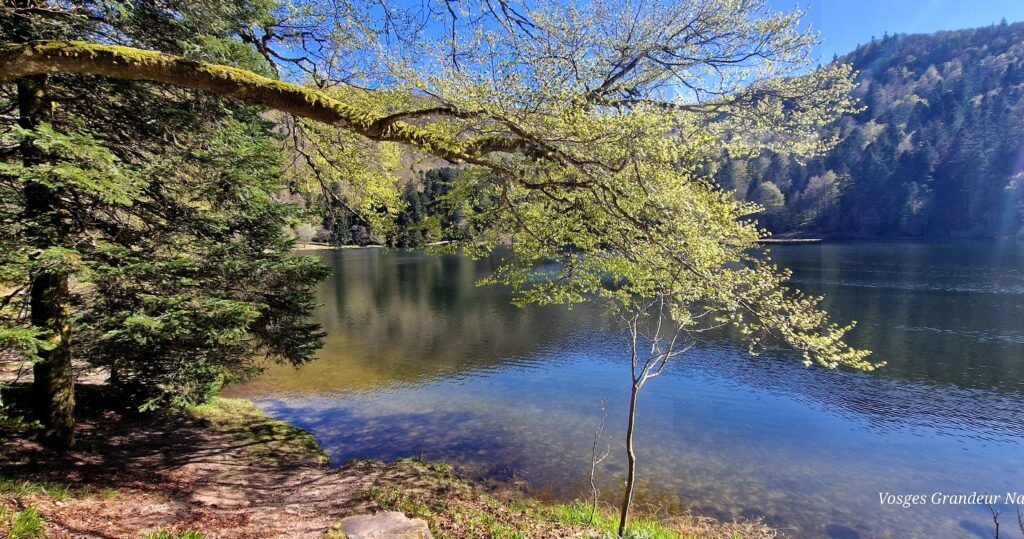 Lac de Blanchemer — La Bresse