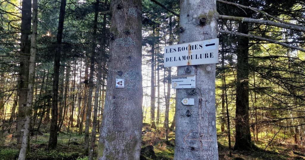 Les Roches de la Moulure — Tendon