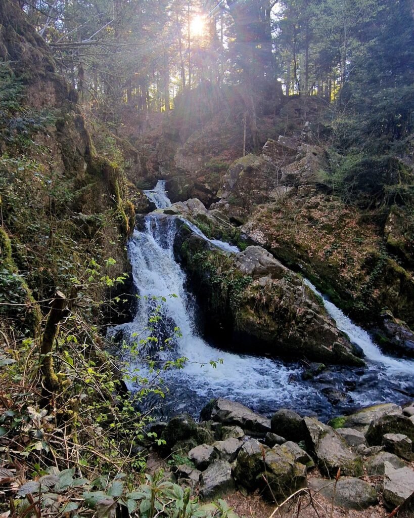 Petite Cascade de Tendon — Tendon